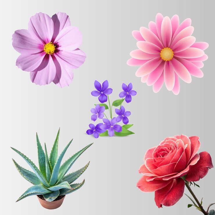 Vetor colecção realista de flores e plantas de lírio-d'água