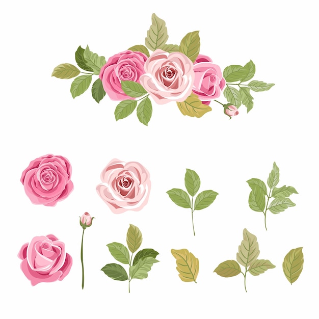 Colecção vector de bouquets de rosas encantadoras