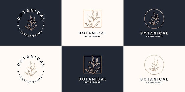 Coleções de logotipo botânico, vegetal e natural
