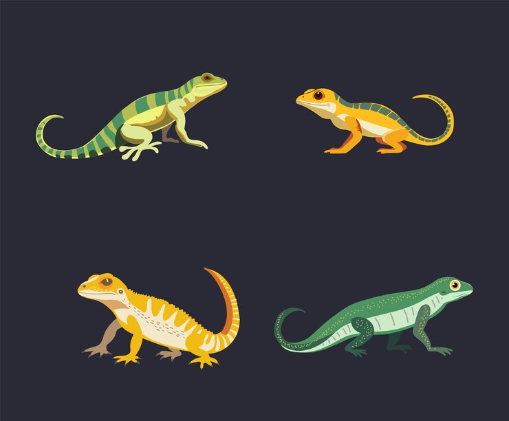 Vetor coleta de lagartos para o dia mundial do lagarto