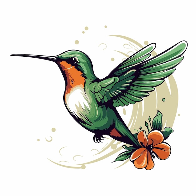 Vetor colibri com flores de hibisco ilustração vetorial