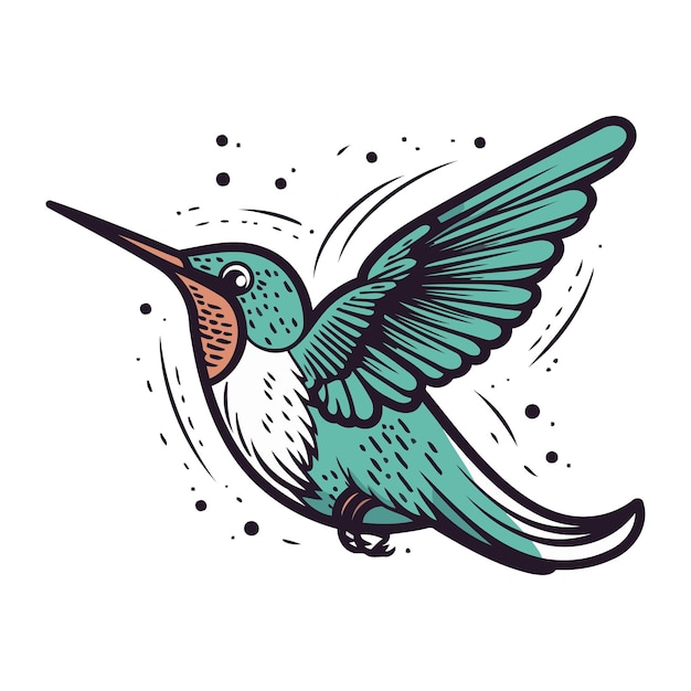 Vetor colibri ilustração vetorial desenhada à mão isolada em fundo branco