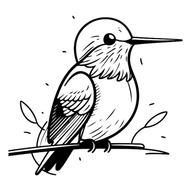 Colibri sentado em um galho ilustração vetorial desenhada à mão