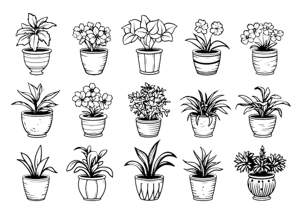 Colocar ilustrações em preto e branco de plantas de casa flores de casa