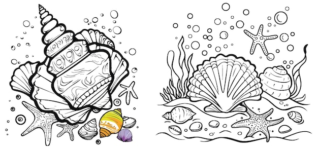 Vetor coloração de treinamento para crianças com conchas marinhas e ilustrações de amostra