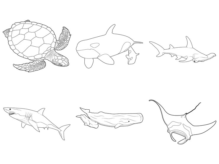 Coloring Book Animal página dois