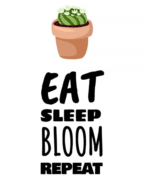 Vetor coma a repetição da flor do sono. cartaz de planta suculenta em vaso de cacto