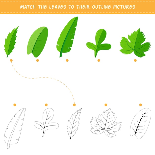Vetor combine as folhas com suas imagens de contorno. questão de pensamento lógico e desenvolvimento intelectual
