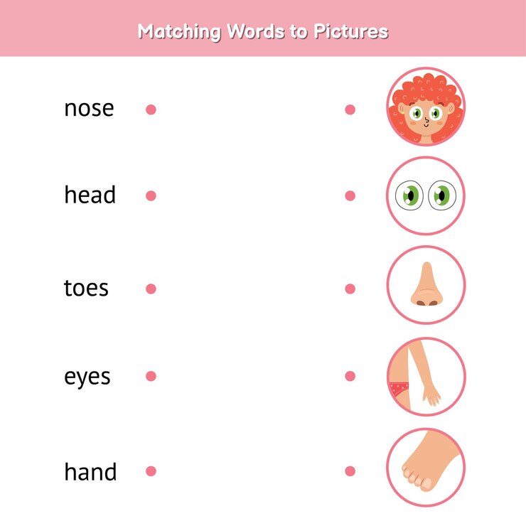 Vetor combine as palavras com as imagens. aprenda a ler o jogo de correspondência para crianças. nariz, cabeça, dedos dos pés, olhos e mão. conecte as palavras com a página de atividades de imagens.