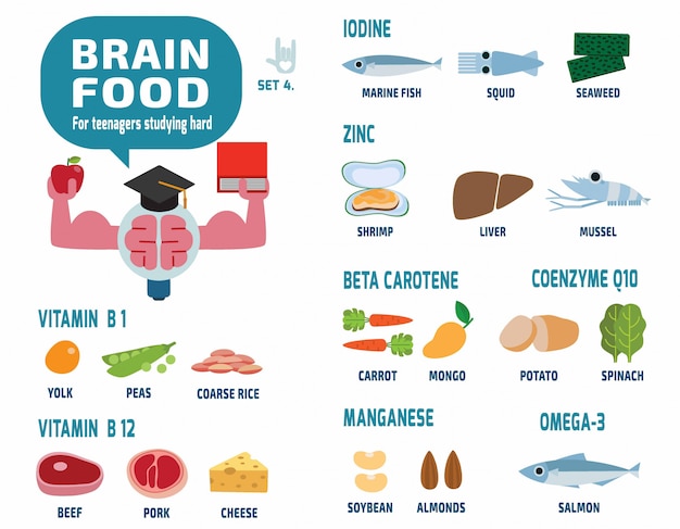 Comida de cérebro para adolescentes estudando ilustração vetorial difícil infográfico