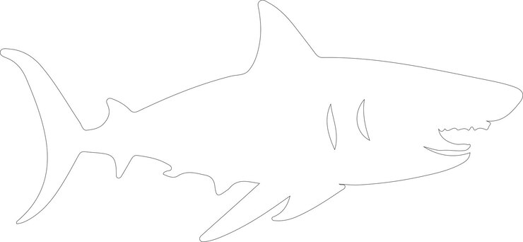 Vetor como desenhar um tubarão com um lápis passo a passo