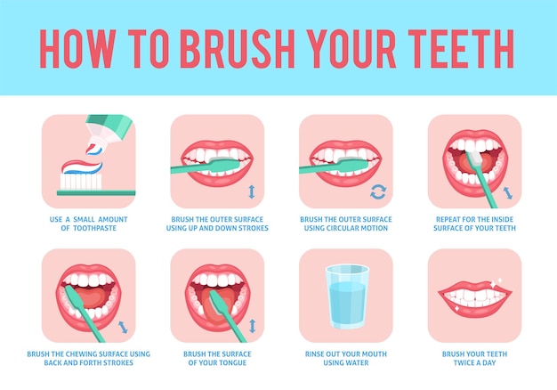 Vetor como escovar os dentes. instrução de educação de escovagem de dentes correta, escova de dentes e pasta de dente fresca para higiene bucal, cuidados dentários, pôster médico de estomatologia passo a passo com texto, conceito plano de vetor