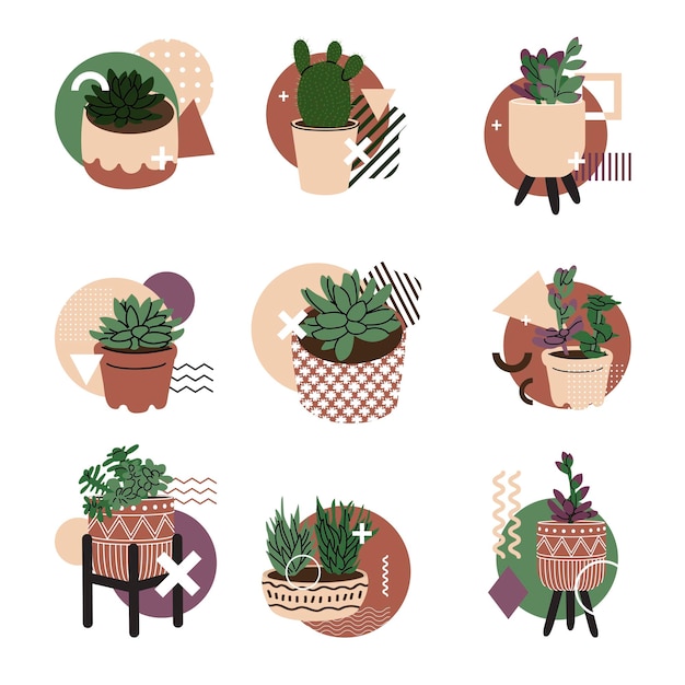 Composição abstrata com elementos de estilo de plantas e memphis suculentas e cactos pequenas plantas decorativas ilustração vetorial para site ou loja de plantas elemento isolado no fundo branco