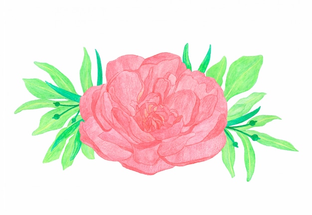 Vetor composição aquarela de buquê de flores rosa peônia vermelha