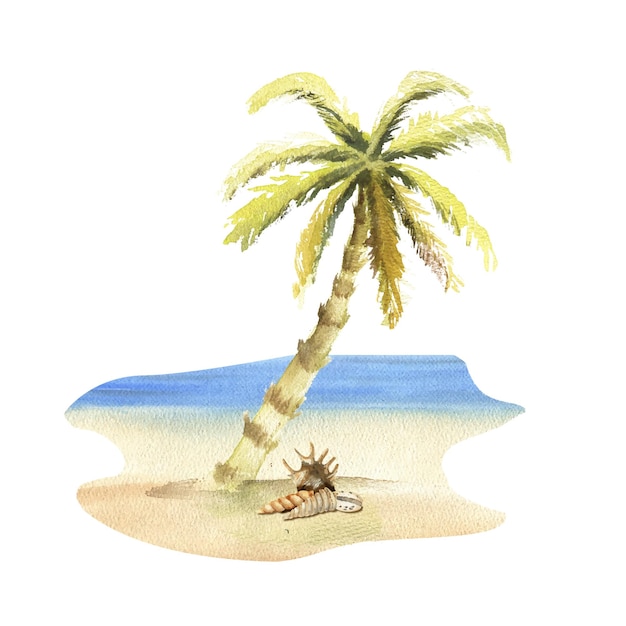 Composição da palmeira da praia do mar à beira-mar em uma aquarela de fundo branco