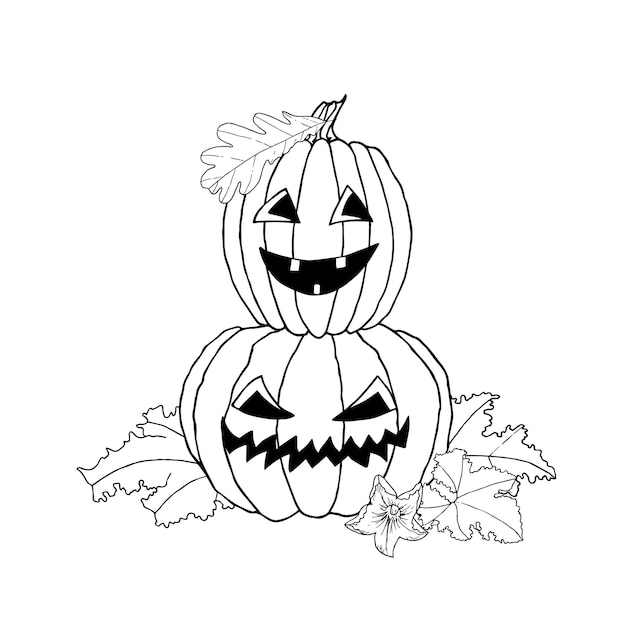Composição de abóboras de Halloween com folhas ilustração vetorial desenhada à mão para cartões de colorir