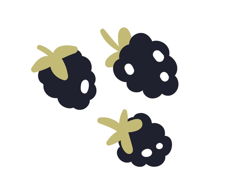 Composição de amoras. Frutos silvestres de bagas pretas doces da floresta. Alimentos maduros frescos, ingestão de vitaminas orgânicas. Ilustração em vetor plana isolada no fundo branco.