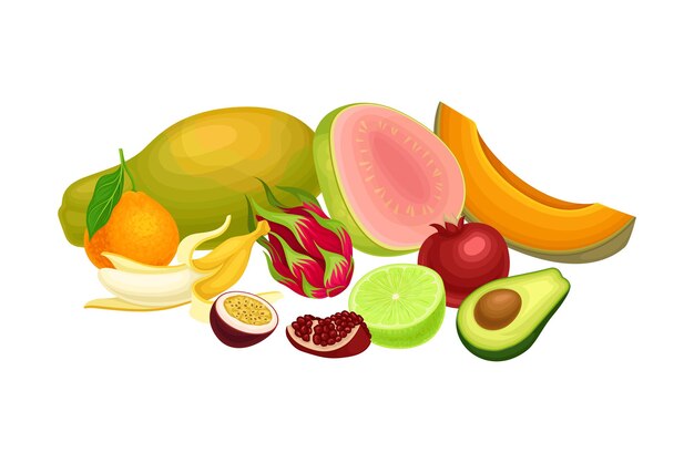 Vetor composição de frutas exóticas com ilustração vetorial de pitaya e papaia