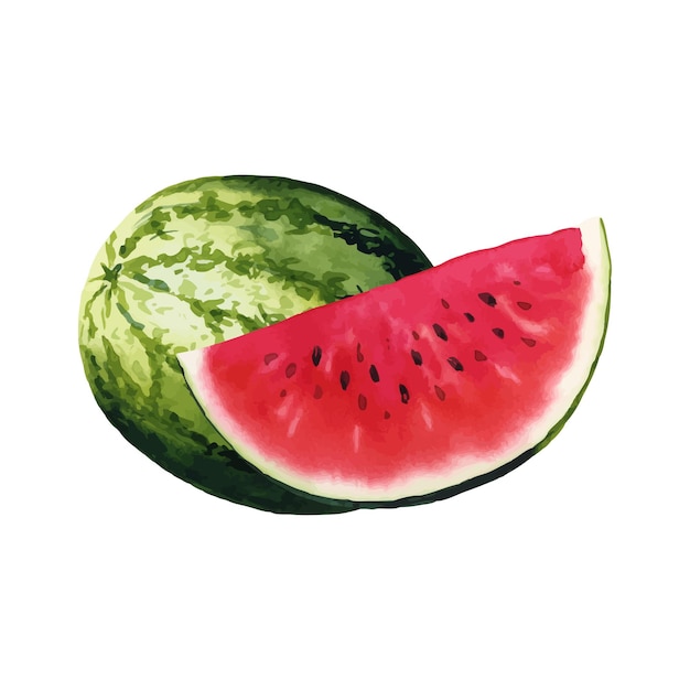 Composição de melões aquáticos desenhada à mão ilustração em aquarela isolada em fundo branco Para design de cartões postais cartões de saudação convites têxteis impressões embalagem de fundo