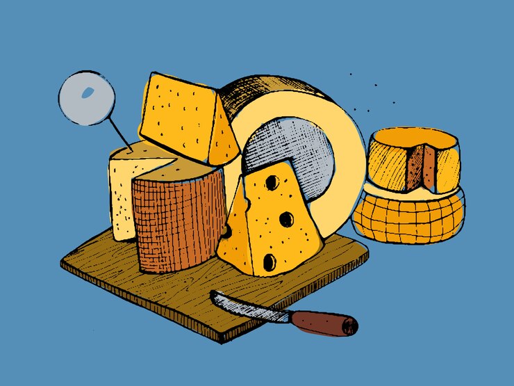 Vetor composição de tipos de queijo. mão colorida ilustrações desenhadas.