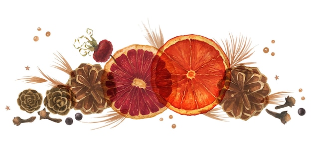 Composição em aquarela de Natal com laranjas, cones e bagas em fundo branco.