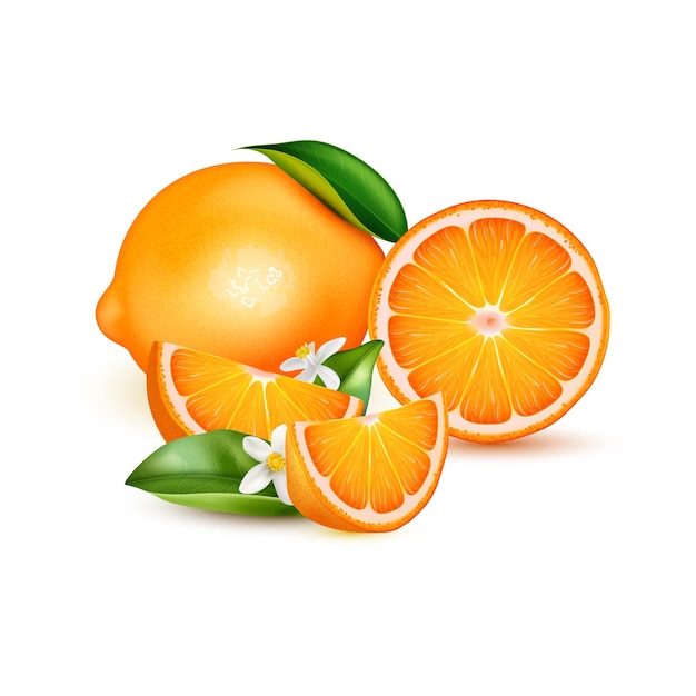 Composição realista com laranjas maduras frescas inteiras e cortadas com folhas e flores na ilustração vetorial de fundo branco