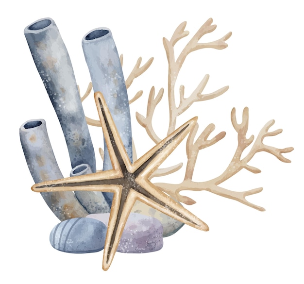 Composição subaquática com tubo Coral e estrela do mar em fundo isolado Ilustração em aquarela desenhada à mão de estrela do mar e algas marinhas para ícone ou logotipo Desenho de submarino em cores azuis e bege