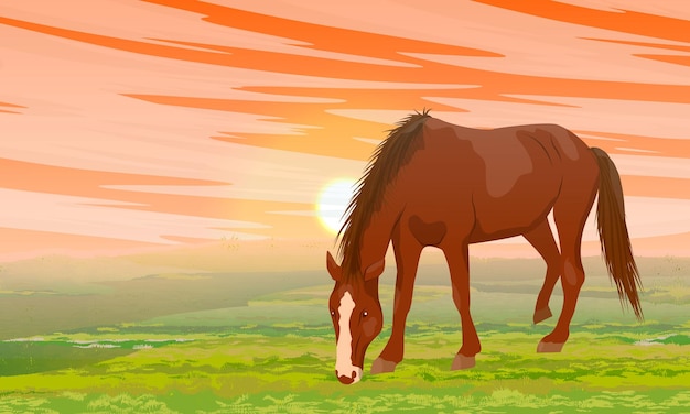 Vetor composição vetorial redonda cavalo ao pôr do sol campo de grama equus ferus caballus cavalos selvagens e de fazenda