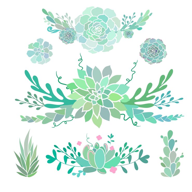Vetor composições florais com suculentas vetoriais bordas decorativas florais