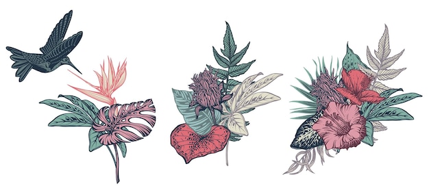 Composições vetoriais com folhas exóticas de palmeira de selva de beija-flor de flores tropicais