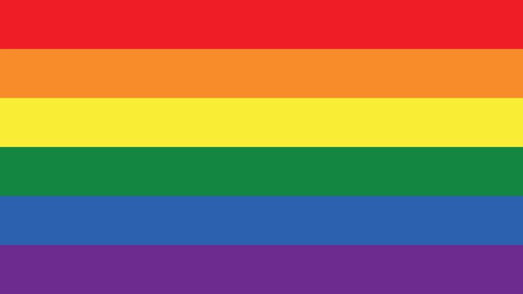 Vetor comunidade de cores de bandeira lgbt gay e lésbica em vetor