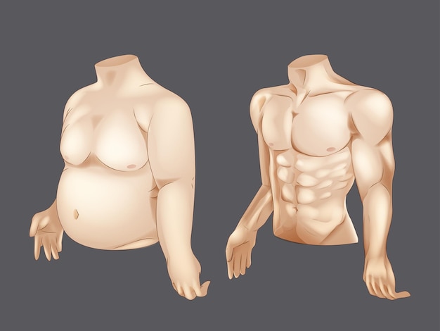 Conceito de ajuste e gordura antes e depois das atividades, ilustração vetorial realista de transformação do corpo masculino