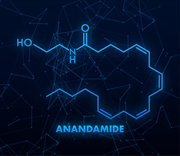 Estrutura Molecular Anandamida Isolada Em Branco Ilustração Stock