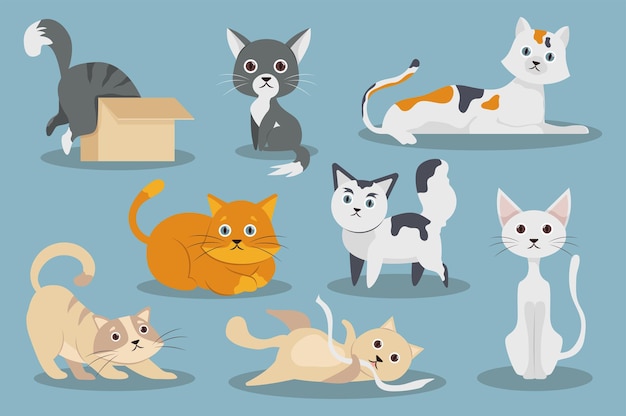 Conceito de conjunto de itens planos de gatos fofos lúdicos sem cena de pessoas no design de desenho animado plano gatos fofos