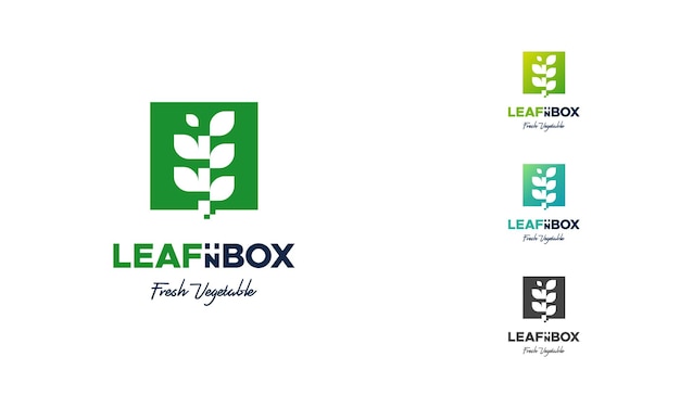 Conceito de designs de logotipo de caixa de vegetais vetor ícone de designs de logotipo de caixa de natureza símbolo de logotipo de caixa de nutrição