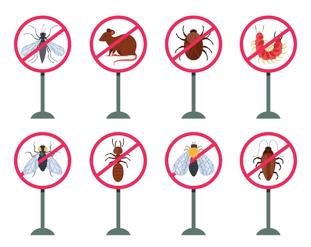 Vetor conceito de desinfecção de insetos de controle de pragas conjunto elemento de ilustração de design gráfico