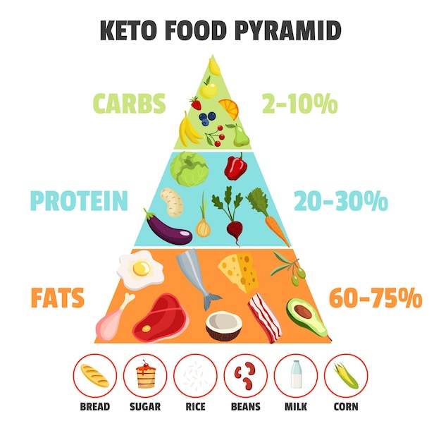 Vetor conceito de dieta ceto. pirâmide alimentar mostrando porcentagem de gorduras, carboidratos e proteínas. cuidado nutricional saudável, fazer dieta. diferentes tipos de alimentos.