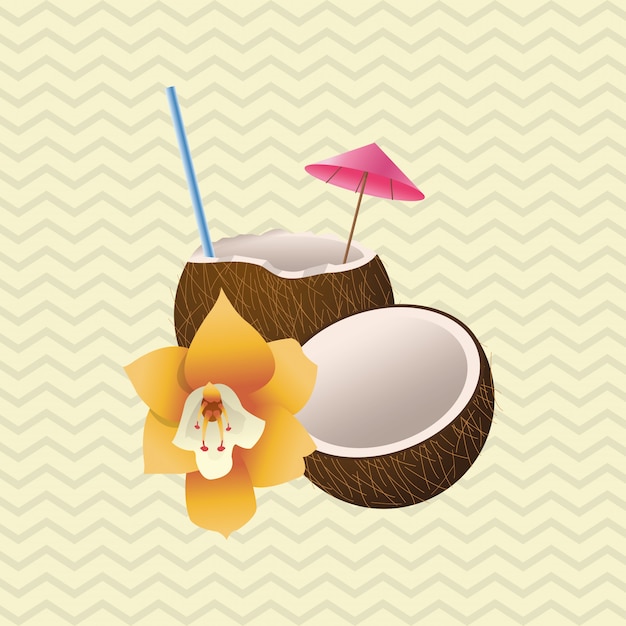 Vetor conceito de flor tropical. ícone de coco