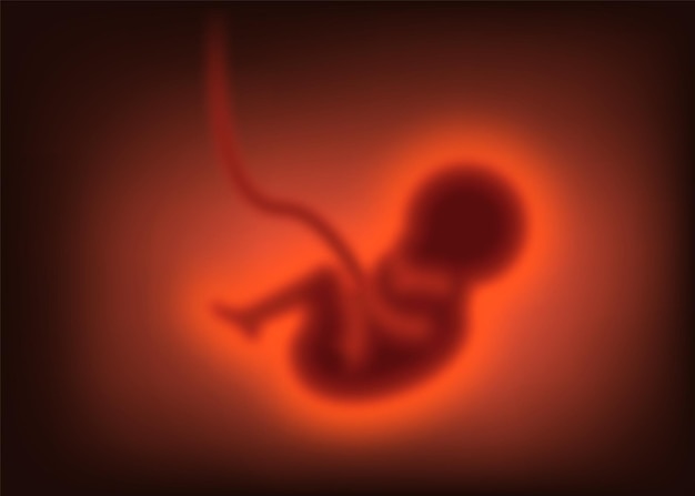 Conceito de gravidez turva criança na ilustração em vetor embrião útero