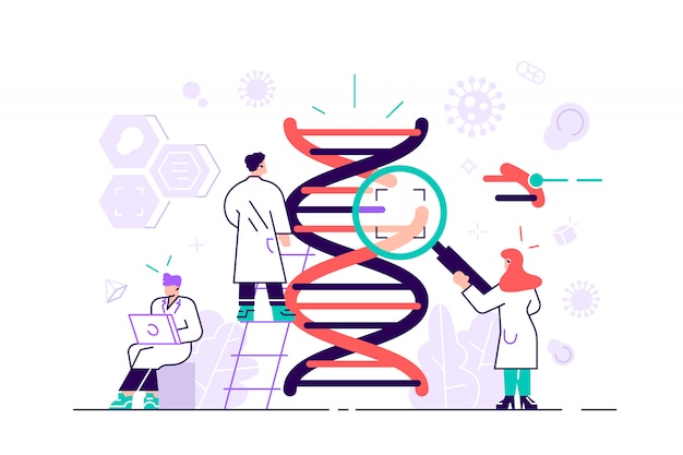 Conceito de ilustração de ciência de DNA genético. Mostrando um grupo de cientistas que investigam o DNA, adequado para landing page, interface do usuário, web, cartão de introdução ao aplicativo, editorial, folheto e banner. Estilo simples