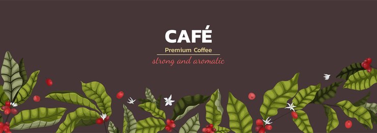 Conceito de ilustração vetorial de publicidade de café com galhos e frutas da árvore de café no estilo cartoon. Banner horizontal ou folheto espalhado sobre fundo marrom sobre café premium.