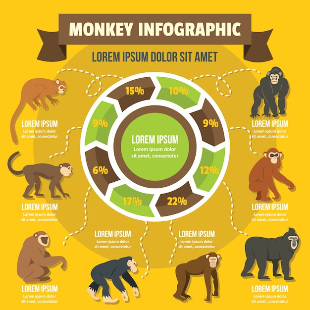 Macaco Prego Galego - infográfico (2011), Infografia produz…