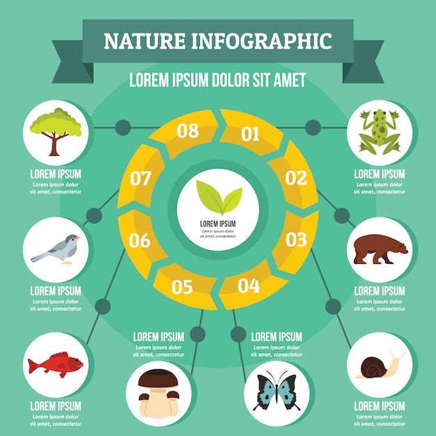 Conceito de infográfico de natureza, estilo simples