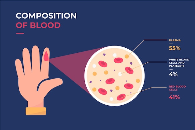 Conceito de infográfico de sangue em design plano