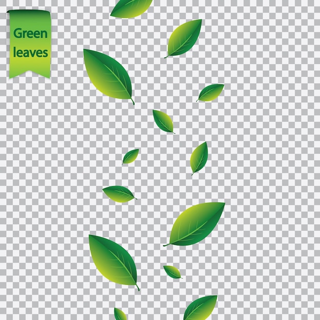 Conceito de verão com folhas verdes a voar sobre fundo branco transparente. ilustração vetorial