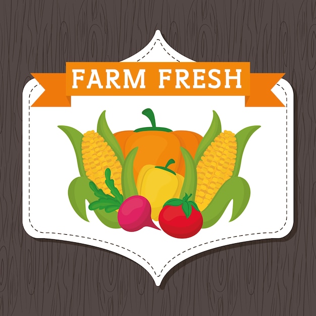 Conceito fresco de fazenda com design de ícone