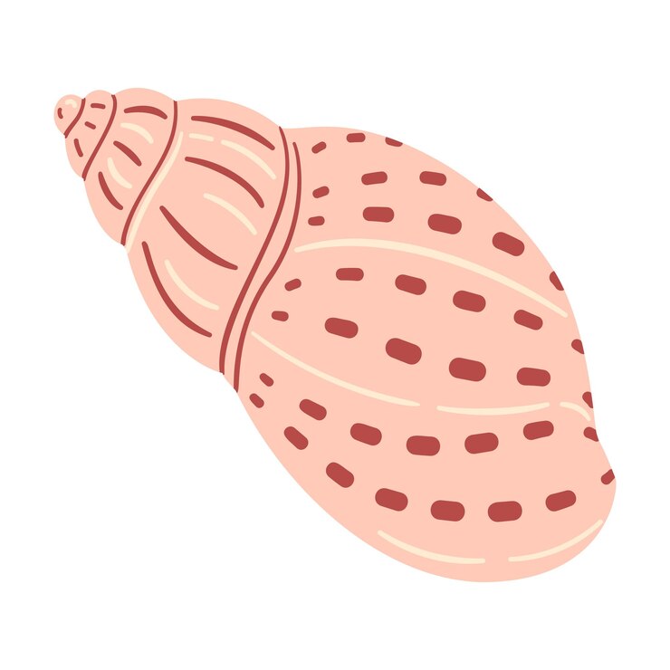 Vetor concha de mar desenhada à mão em estilo de desenho animado ilustração plana concha de mar isolada em fundo branco