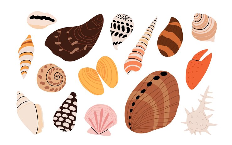 Vetor concha de mar exótico subaquático concha de mar molusco aquático espiral de mar coleção de caracóis de praia tropicais estilo plano moderno isolado em fundo branco ilustração vetorial