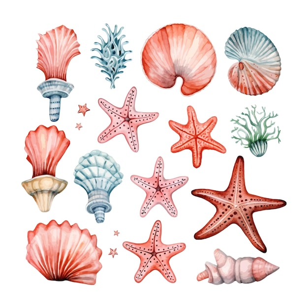 Vetor conchas de aquarela pintadas à mão e corais de estrelas do mar ilustração desenhada à mão