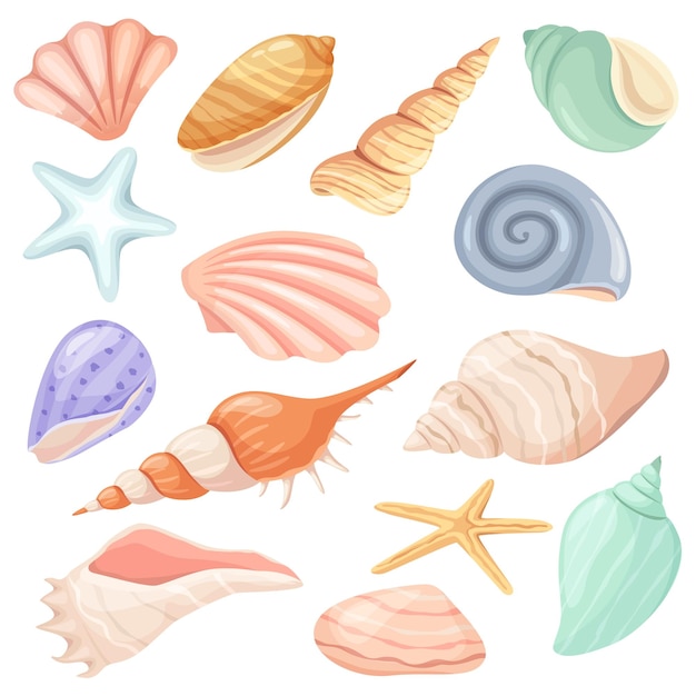 Conchas do mar dos desenhos animados e estrela do mar concha do oceano tropical caracol ostra molusco conchas conchas de molusco marinho verão conjunto de vetores de elementos de praia